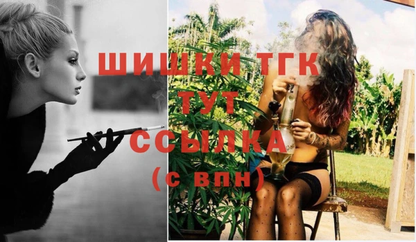 ешки Ельня